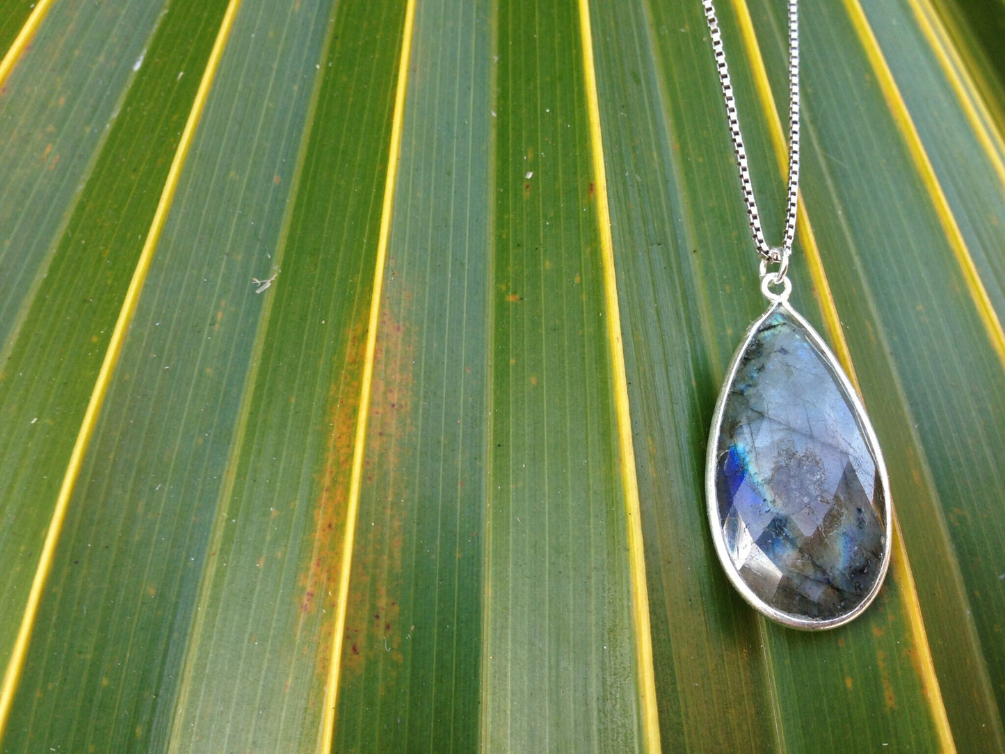 Sparrow & Lilly Sterling Silver and Labradorite Necklace