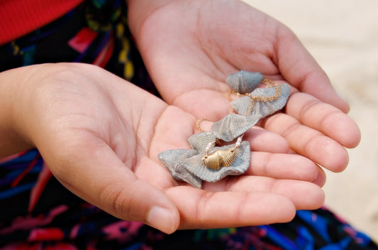 Fossilized Brachiopods, Butterfly Stones